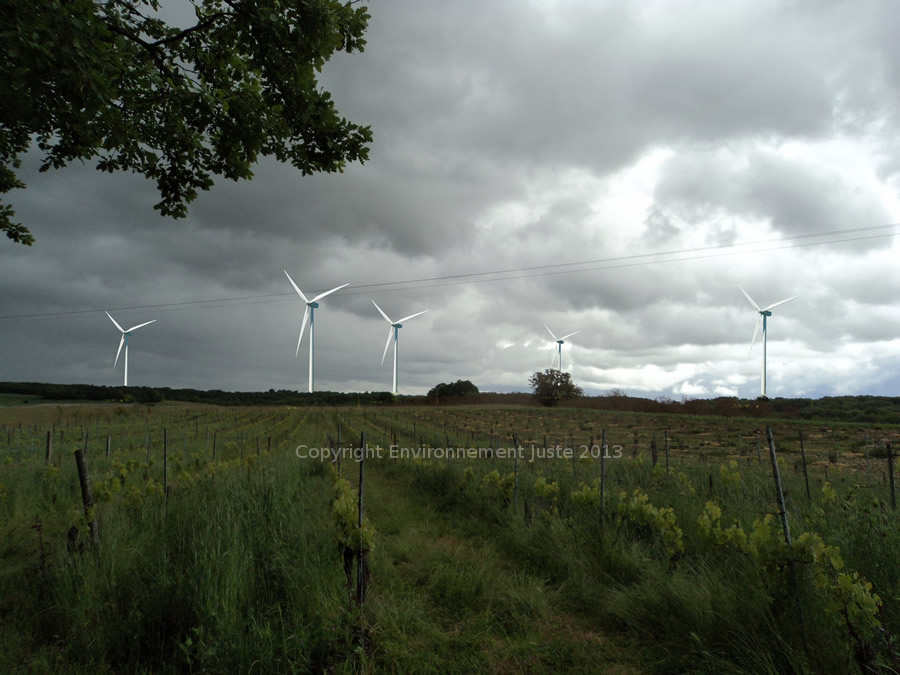 Vignoble du Chateau Vent d'Autan avec les éoliens